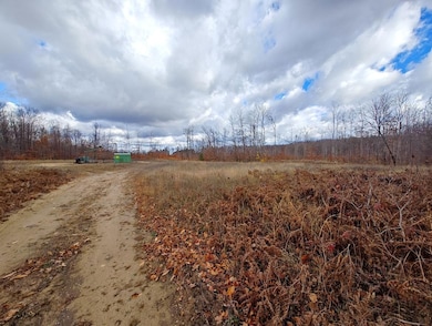 0 Mancelona Rd unit 25571179, Mancelona, MI 49659 - photo 4