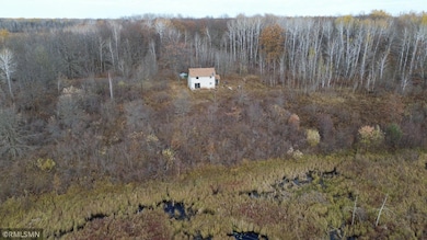 TBD 170th Place, McGregor, MN 55760 - photo 7