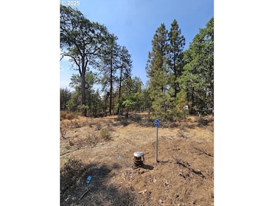 0 Hawks Wind Rd unit 1 162521196, Goldendale, WA 98620 - photo 2