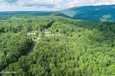 3-Lot 16 Browns Gap Rd_032_TNPC