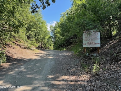 B005 Private Rd, Willow, AK 99688 - photo 3