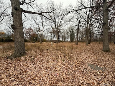 3073 W Dayton St, Flint, MI 48504 - photo 5