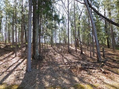 0 Hayden Lake Rd unit 1517380, Danbury, WI 54830 - photo 7