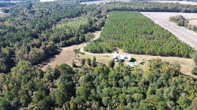 693, Coolidge, GA 31738 - photo 3