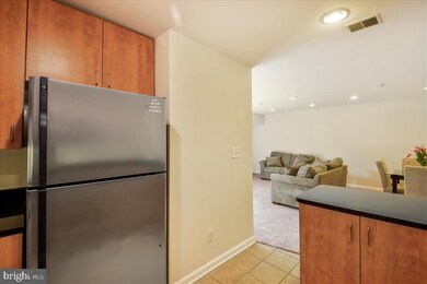 1138 Cove Rd unit 201, Annapolis, MD 21403 - photo 6
