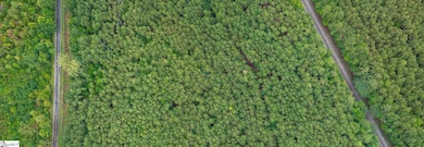 00 Shrine Club Rd, Waterloo, SC 29384 - photo 3