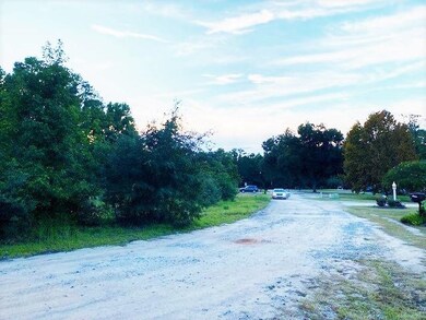 Lot 1 Ivanhoe Place, Dillon, SC 29536 - photo 6