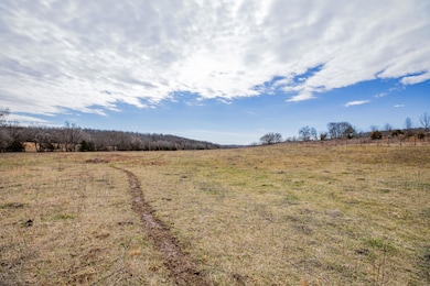 001 Highway H, Pleasant Hope, MO 65725 - photo 6