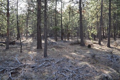 19445 Bainbridge Ct, Bend, OR 97702 - photo 5