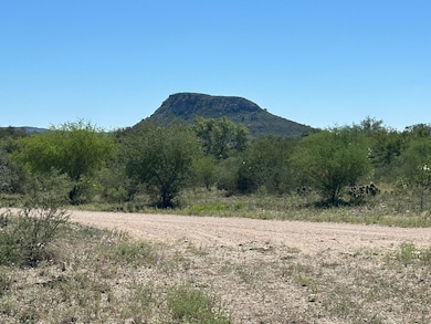 22189 Texas 55, Uvalde, TX 78801 - photo 3