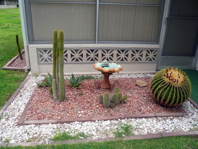 Cactus Garden