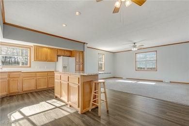 11925 Lincoln St SE, Paris, OH 44669 - photo 7