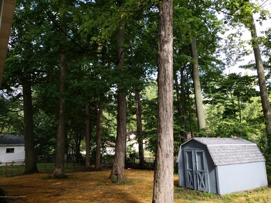 7 Backyard