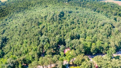 5-14 546 Morgan Creek Sugar Tree-3