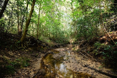 0 Grice Rd, Columbia, MS 39429 - photo 5