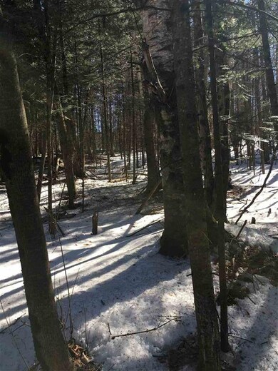 23 Littleton Rd unit lot 23 (Survey map, Whitefield, NH 03598 - photo 3