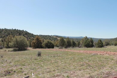 281 Oasis Valley Rd, Durango, CO 81303 - photo 5