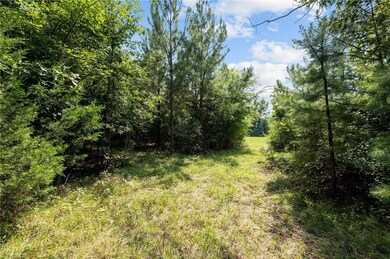 0 Holman Mill Rd unit 1151566, 8, Newlin, NC 27349 - photo 2