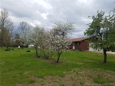 Beautiful Bradford Pear trees!