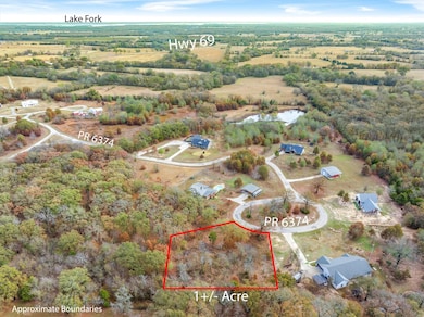 TBD Rs County Road 2372, Alba, TX 75410 - photo 7