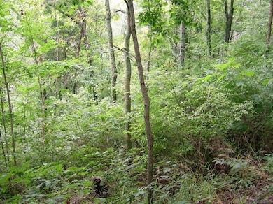 550 Normans Camp Rd, Harrodsburg, KY 40330 - photo 2