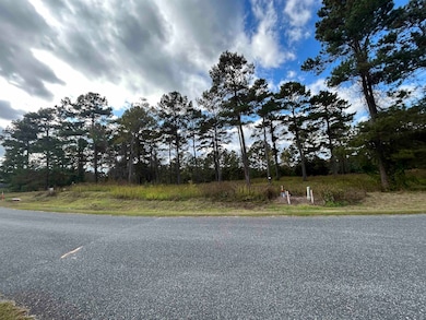 165 Still Water Ln, Havana, FL 32333 - photo 4