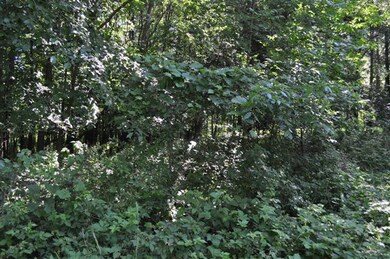 10014 Huron Creek Dr, Dexter, MI 48130 - photo 6