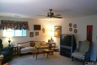 Main Living area 