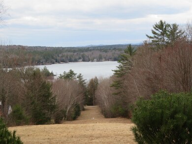 Lot # 46 (133) Black's Landing Rd, Moultonborough, NH 03254 - photo 5