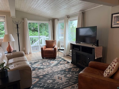 Living area with healthy amount of natural light, wood ceiling, vaulted ceiling, wood finished floors, and a baseboard heating unit