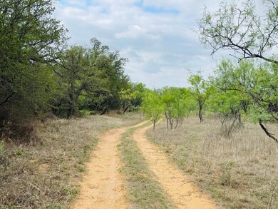 44 County Road 129, Brownwood, TX 76801 - photo 3