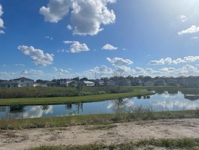 35558 Buttonweed Trail, Zephyrhills, FL 33541 - photo 6