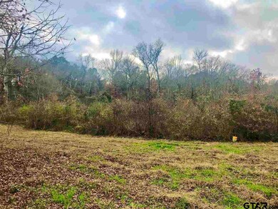 0000 County Road 21, Tyler, TX 75707 - photo 4