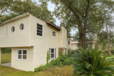 20850 SE 156th Place, Umatilla, FL 32784 - photo 4