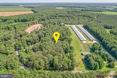 19447 Parsons Rd, Georgetown, DE 19947 - photo 3