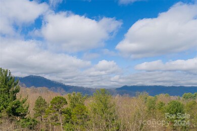 7 Walnut Grove Ln, Asheville, NC 28806 - photo 5