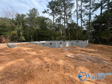 305 Travis Rd NW, Fort Payne, AL 35967 - photo 2