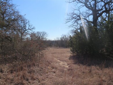 354 County Road 4690, Boyd, TX 76023 - photo 4