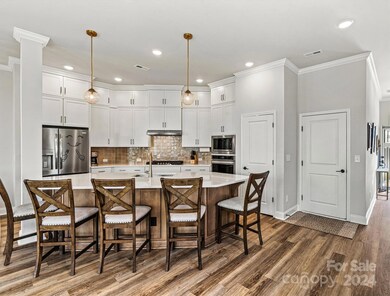 9038 Charles Francis Ln, Cornelius, NC 28031 - photo 3