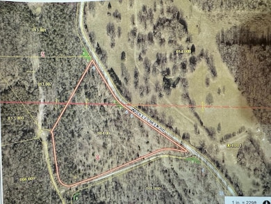 5&6 Wooley Creek Road (Lots 5&6), Cape Fair, MO 65624 - photo 2