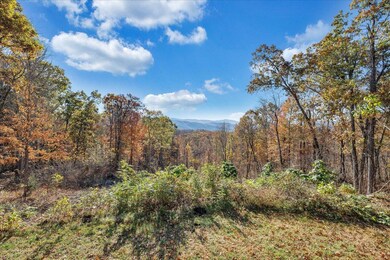255 Cedar Bluff Rd, Buchanan, VA 24066