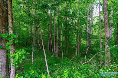 Bobo Section Bobo Section Rd, Hazel Green, AL 35750 - photo 7