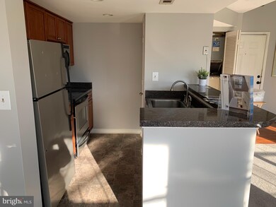 10543 Beacon Ridge Dr unit 203, Bowie, MD 20721 - photo 4