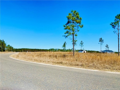 0 Camp Edgewood Rd unit SWL25001616, Dequincy, LA 70633 - photo 4