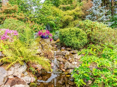 Water Feature