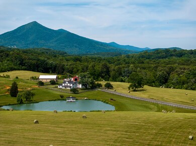 Buffalo Farm-04