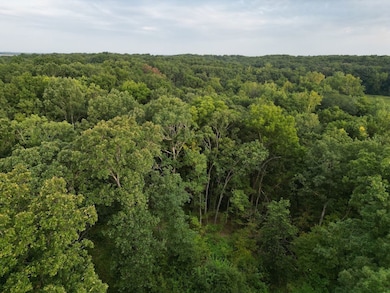 2750 Nortonville Rd, Franklin, IL 62638 - photo 2