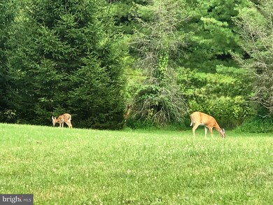 2315 Long Ridge Rd, Reisterstown, MD 21136 - photo 6