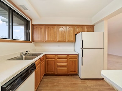 464 Raintree Dr unit 2D, Glen Ellyn, IL 60137 - photo 3