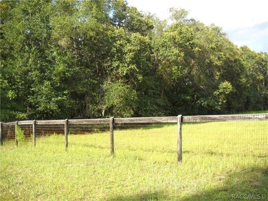 3301 N Page Ave, Hernando, FL 34442 - photo 6